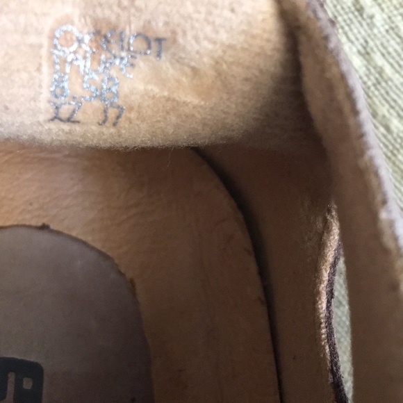 Earth Ocelot May Janesville - Picture 7 of 8